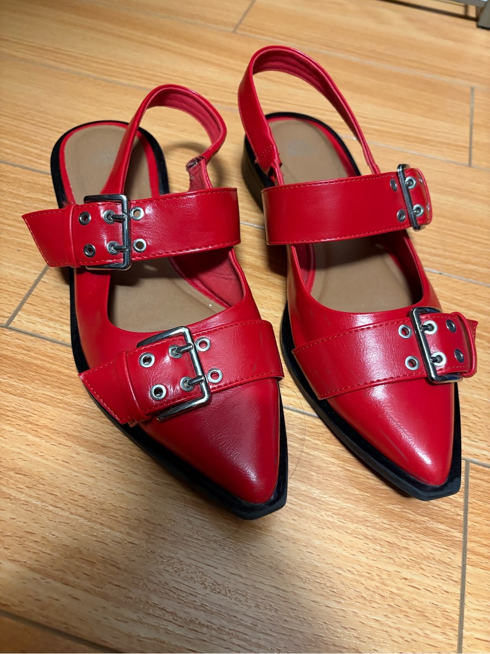 wild fable Red Pointed Slingback Buckle Flats
